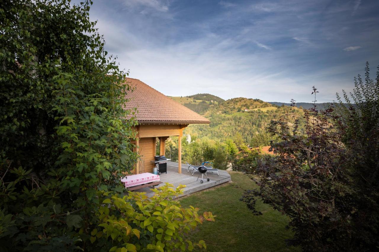 Chalet Skadi Ла-Бресс Экстерьер фото